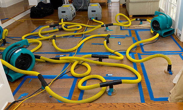 Professional Crawl Space Water Removal technician working in East Wenatchee, WA